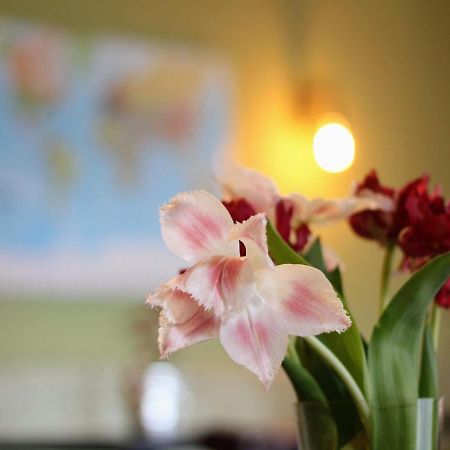 Westervoort Bed And Breakfast De Grote Byvanck מראה חיצוני תמונה